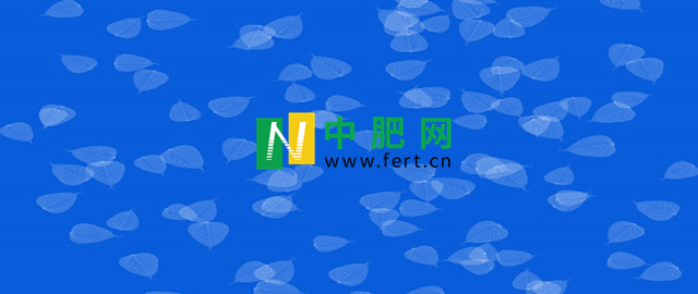 【中肥网】新蛋糕出现！　尿素市场炸开了锅？